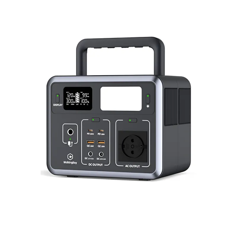 XLNT 300W Portable Power Inverter (X 300)