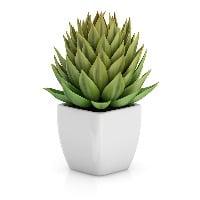 test product(Size-22)
