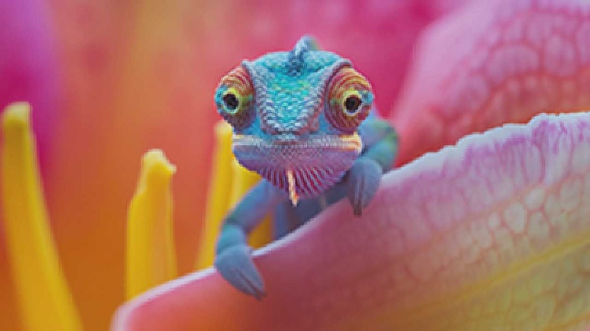 Test_TP5